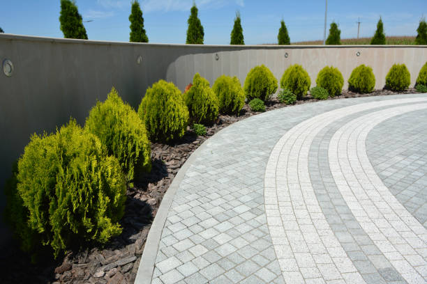 Best Decorative Driveway Pavers  in Mineral Ridge, OH